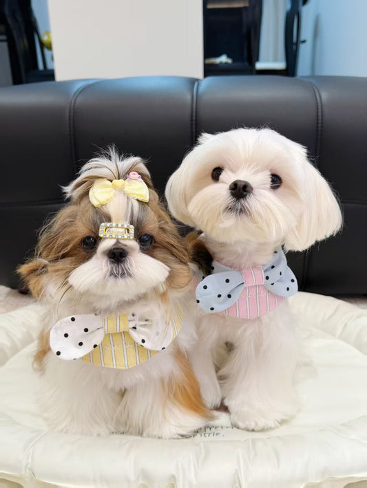 Keep It Clean & Cute: Why Your Dog Needs a Soft Drool Bib